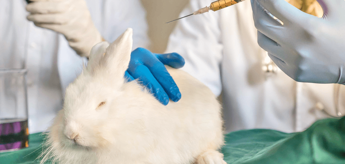 China não baniu testes em animais? Entenda a lei do país de forma detalhada!