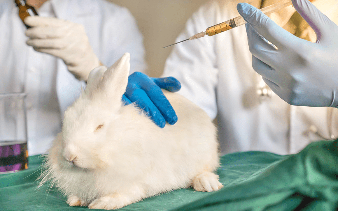 China NÃO colocou fim nos testes em animais. Entenda a lei do país de forma detalhada!